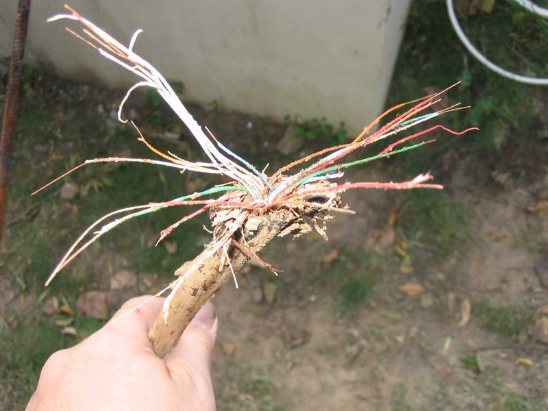 Двое астраханцев оставили жителей шести домов без интернета