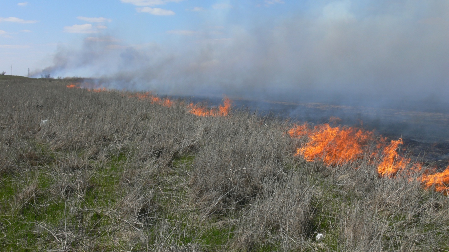 МЧС предупреждает астраханцев о высокой пожароопасности пятого класса