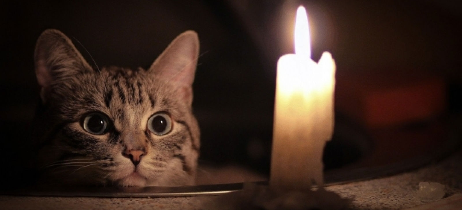 Более 50 улиц Астрахани сегодня останутся без света