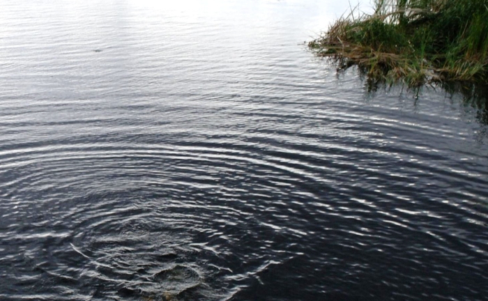 Одного из двух астраханских рыбаков, пропавших в авандельте, нашли утонувшим 