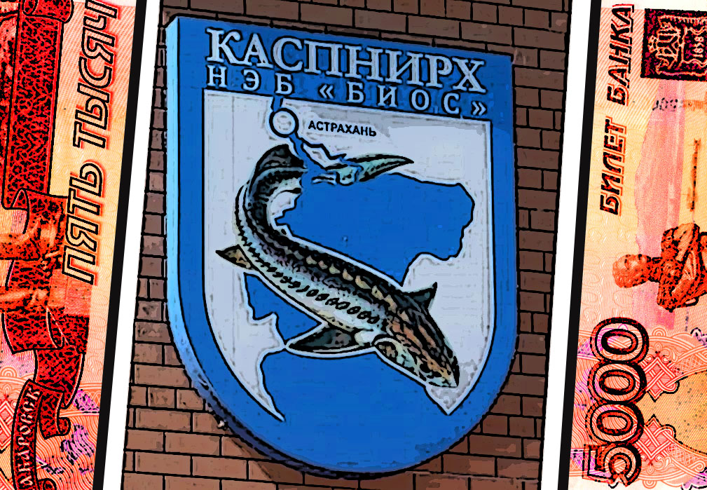 Наука в режиме premium. За какие деньги работают астраханские ученые и их начальники