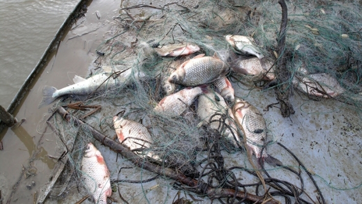 Рыбаки астраханской артели заплатят штраф за нарушение правил