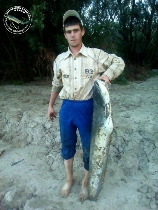 Астраханец поймал рыбу размером с подростка