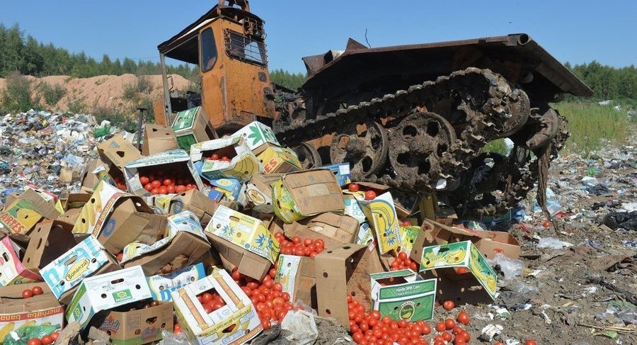 Астраханские пограничники уничтожили 30 тонн санкционной продукции