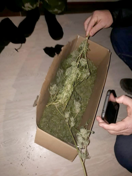 Астраханец хранил дома 2,5 кг наркотиков