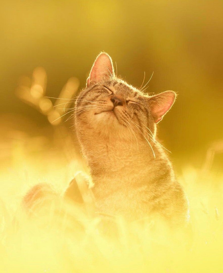 В Астрахань окончательно пришла весна. И даже немного лето