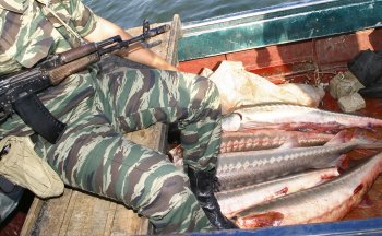 Трое грабителей, назвавшись «путинским ОМОНом» совершили разбойное нападение на  местных жителей в Астраханской области