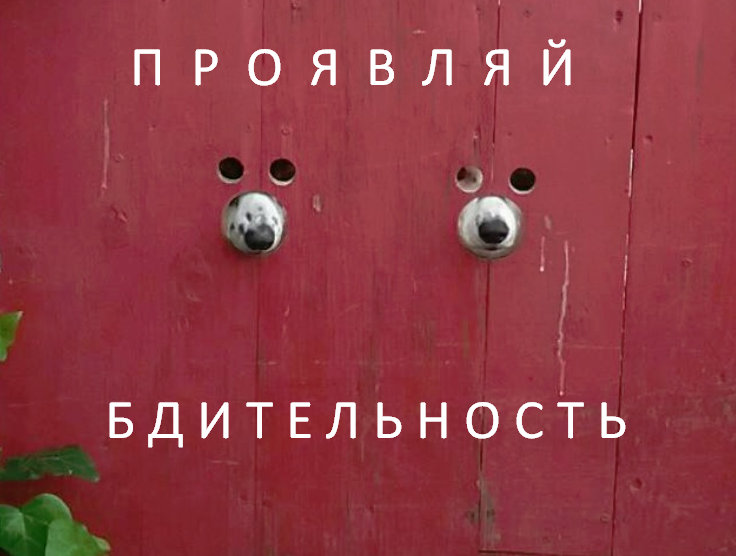 Газетный бизнес по-чиновничьи