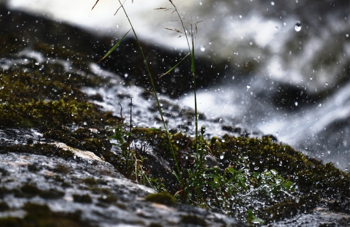Завтра в Астраханской области осадки придутся на  ночь, а дню достанется немного больше тепла