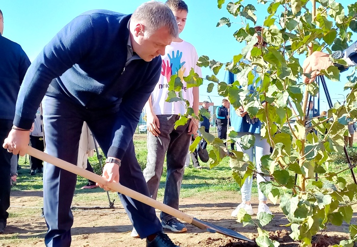 За осень в Астраханской области высадят деревья на 100 гектарах