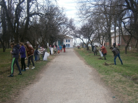 В Астраханской области активисты высадили 6 тысяч саженцев