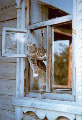 В Астраханской области 9% жилищного фонда является ветхим или аварийным