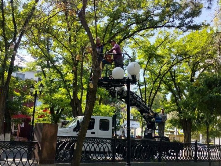 Аварийные деревья опилили в центре Астрахани в Братском саду