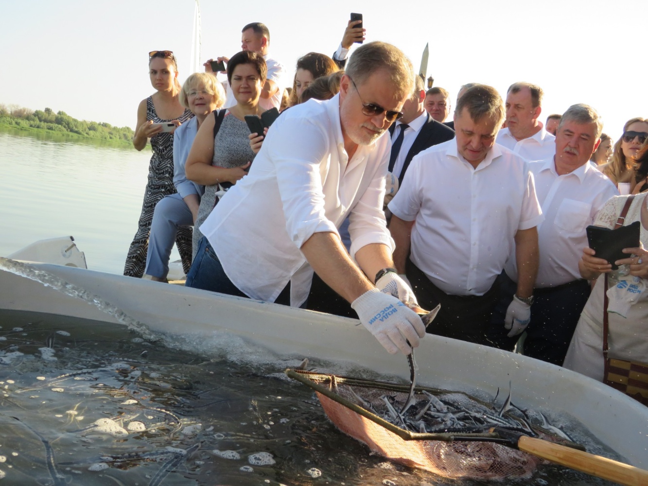 Железнодорожники выпустили в Волгу более двух тысяч мальков краснокнижной севрюги