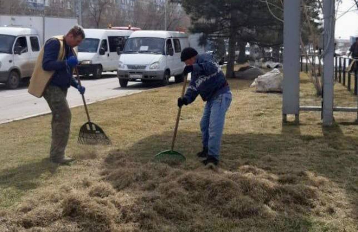 Шесть тысяч деревьев и кустарников высадят в Астрахани