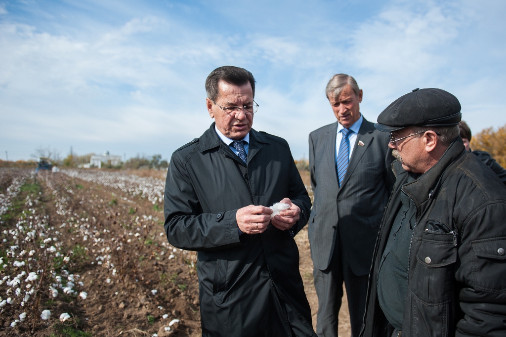 25 миллиардов рублей может принести Астраханской области выращивание хлопка