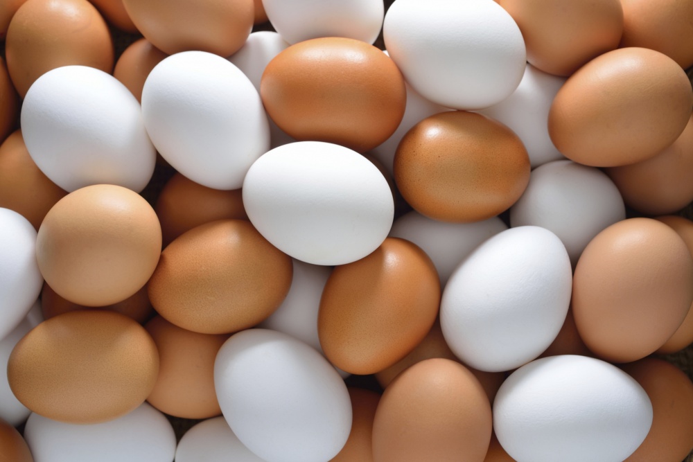 Астраханские птицефабрики выпустили по 410 яиц на каждого жителя региона