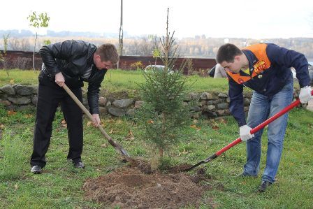 В Астраханской области высадили 700 декоративных саженцев