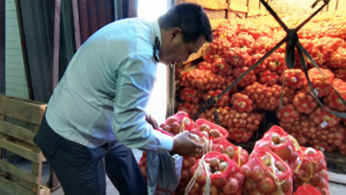 За июнь в Астраханскую область прибыло более 900 тонн репчатого лука из Узбекистана