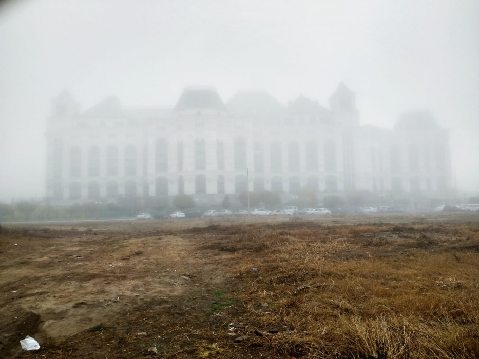 Астраханцы массово подписывают петиции против гари - более 4500 голосов