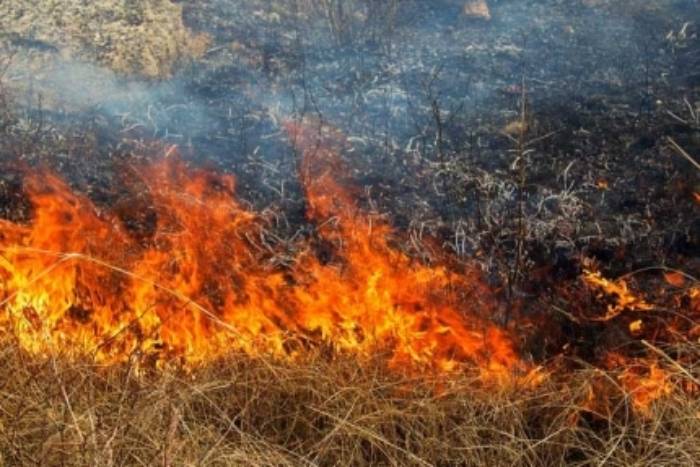 Пожар на Городском острове в Астрахани тушат уже 6 часов
