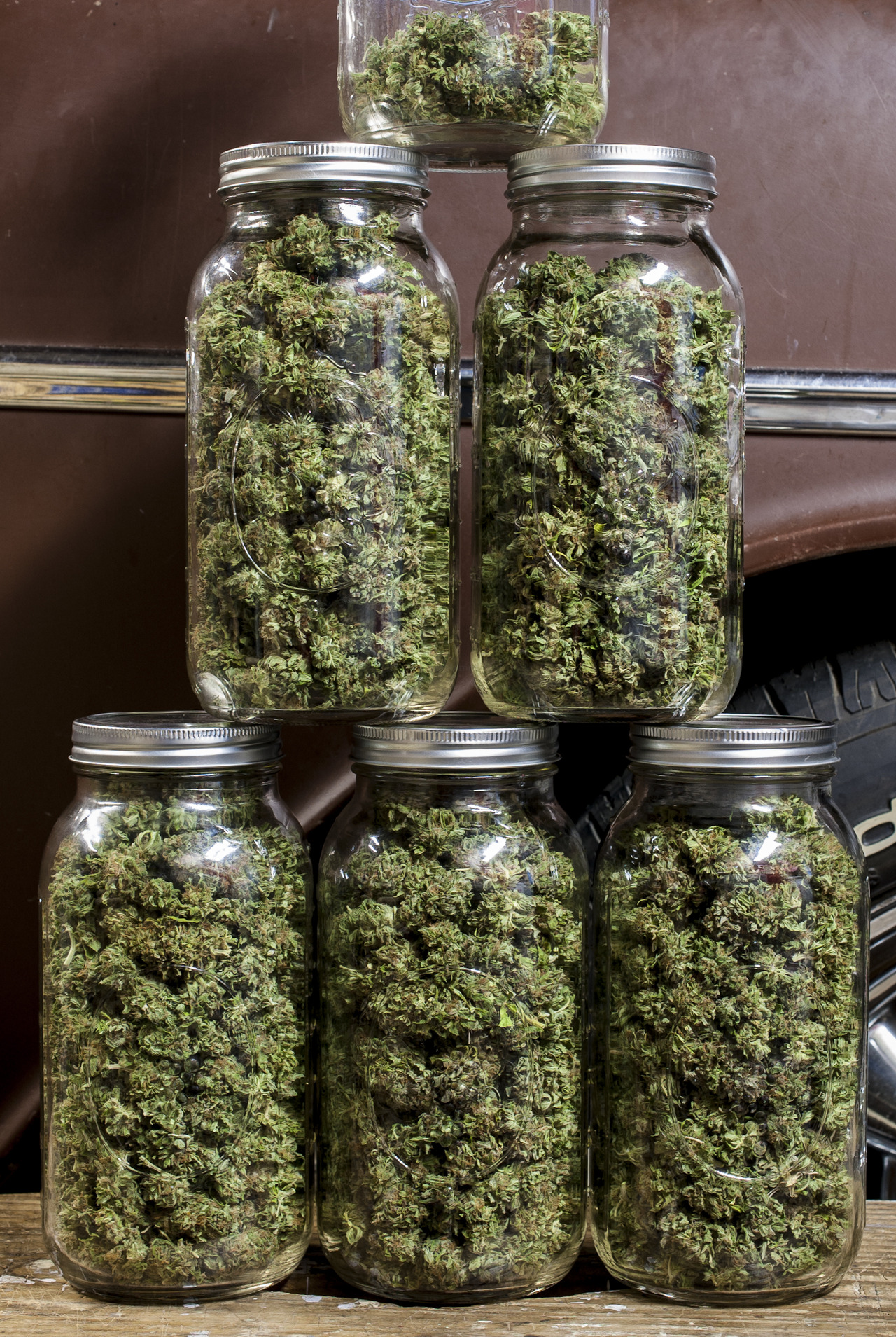 Пошел под суд запасливый астраханец, делающий заготовки на зиму