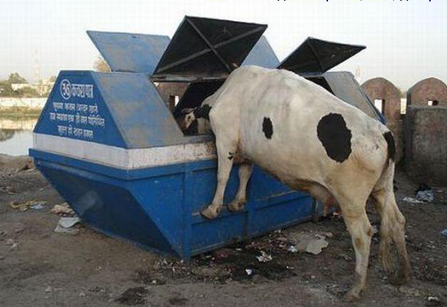 Астраханский трэш. Часть 2: «Тарифная перестройка»