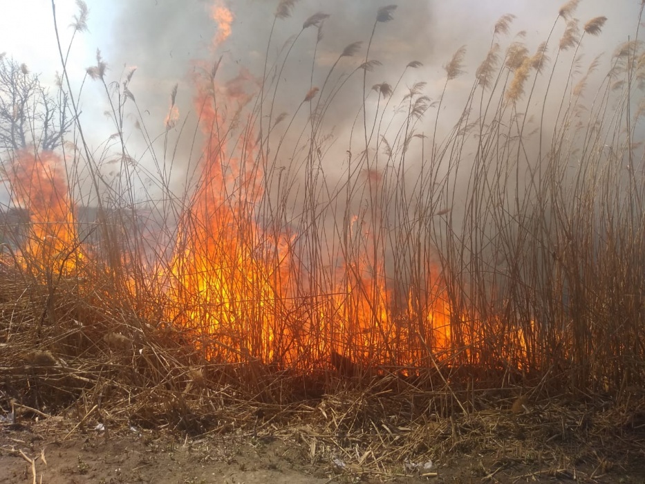 На Бабаевского крупный пожар угрожал жилым домам. Столб дыма был виден из центра Астрахани