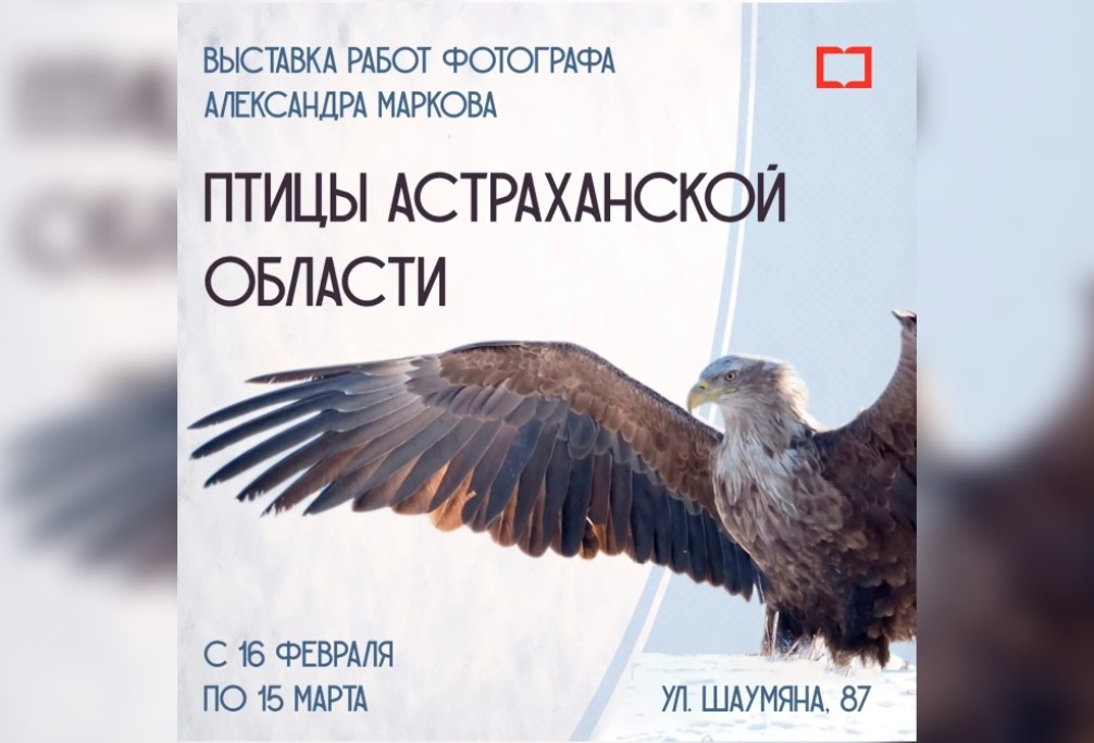 В астраханской библиотеке поселились крылатые и пернатые