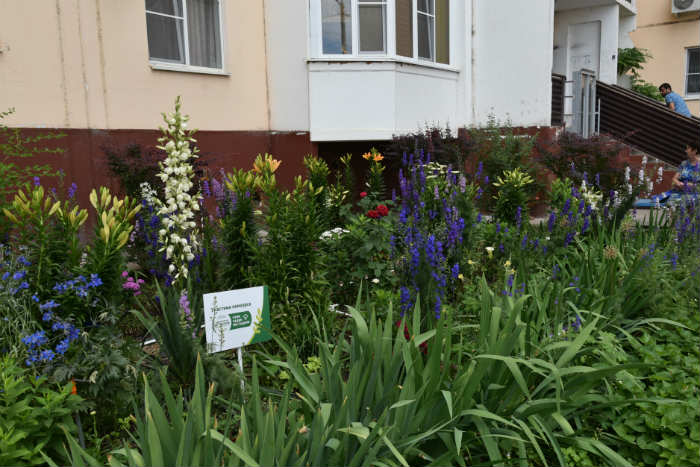 На конкурс «Сами садик мы садили» уже подано более 80 заявок