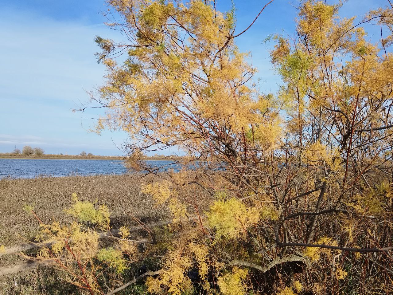 В Астрахань идет аномальное для декабря тепло