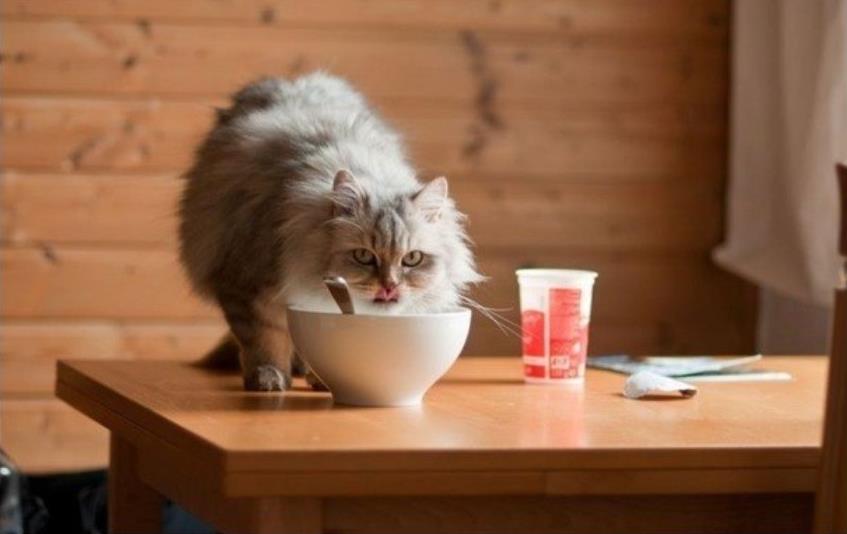 Семь астраханских руководителей попались на превышении зарплат