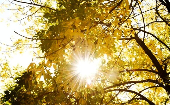 Четверг в Астраханской области будет с утра туманным, а днем – облачным и теплым