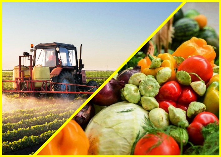 Игорь Бабушкин поздравил астраханских аграриев с профессиональным праздником