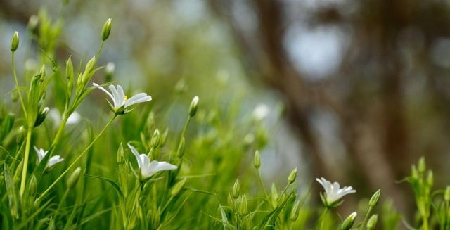 Астраханцев ждет прохладный вторник