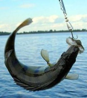 В Астрахани запретят рыбалку на центральной набережной?