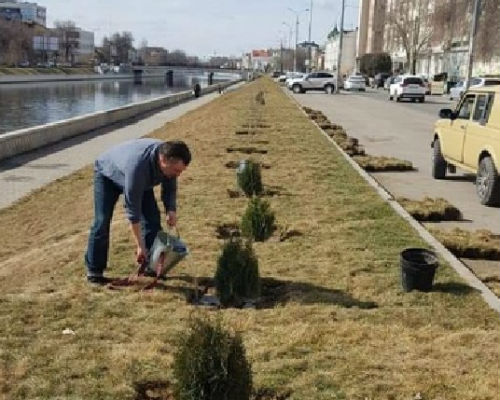 Астраханцы по собственной инициативе решили озеленить центр города