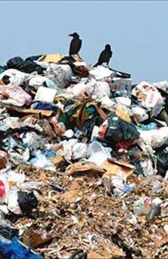 В Астрахани за мусорками проследит Полумордвинов