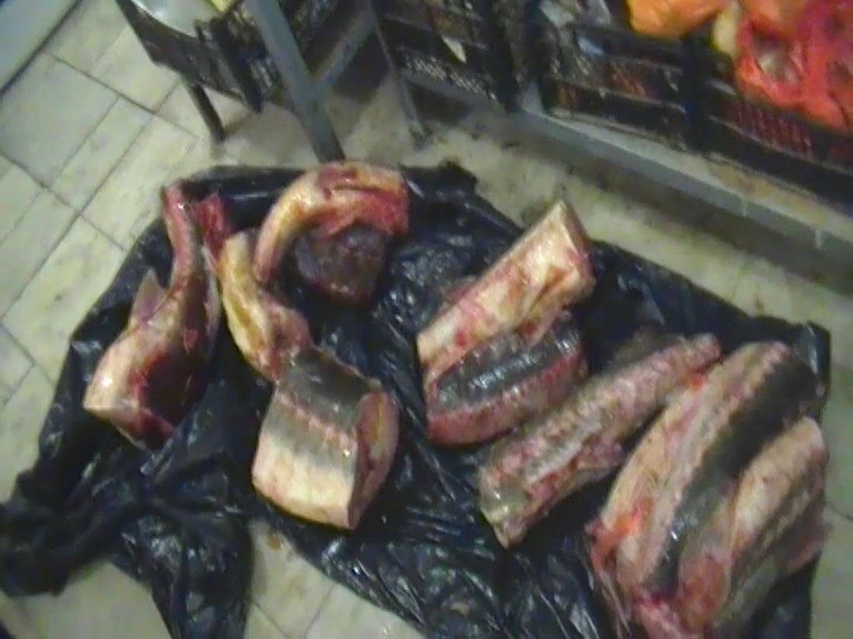 В астраханском кафе готовили из нелегальной осетрины