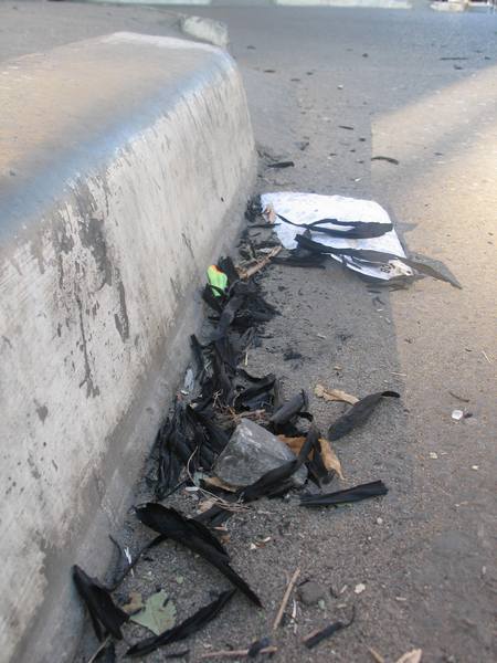 ПЕПЕЛЬНЫЕ БУДНИ