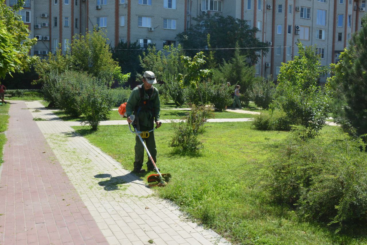 Озеленители вышли на центральную набережную Астрахани