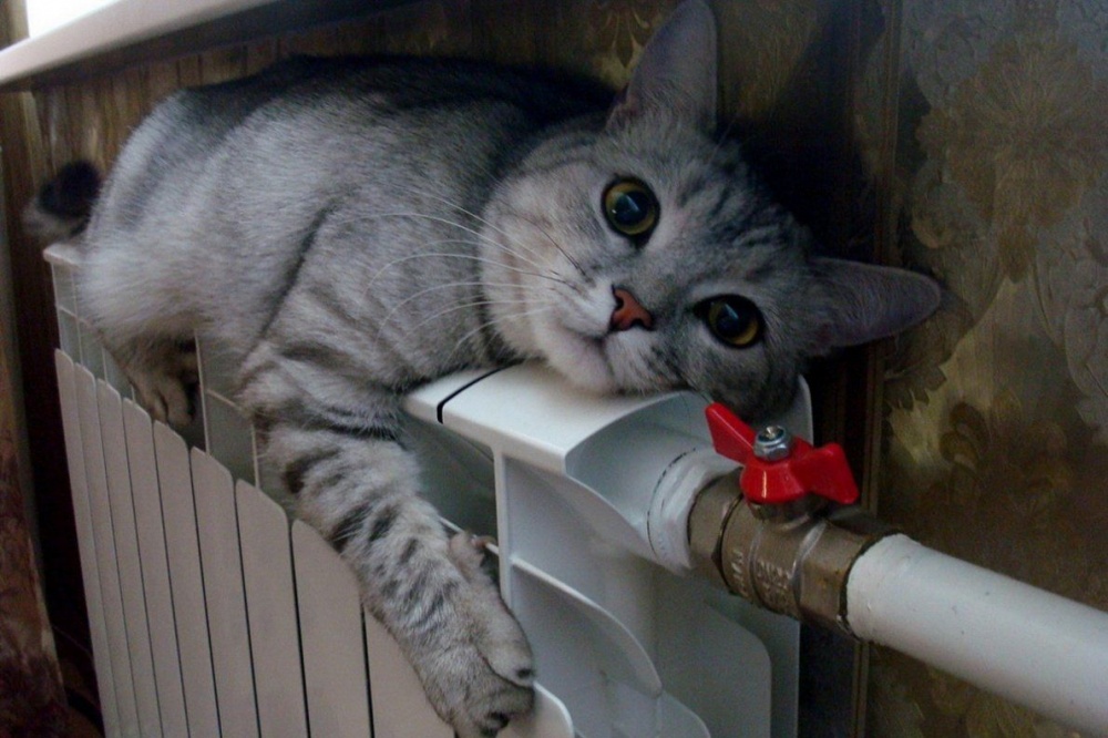 Еще на нескольких улицах Астрахани отключили отопление