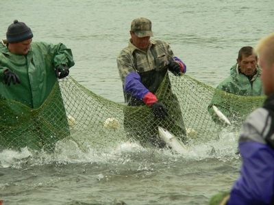 Промрыбаки: … «Действия ВКТУ Росрыболовства – это сталинский «закон о трех колосках» в действии»...