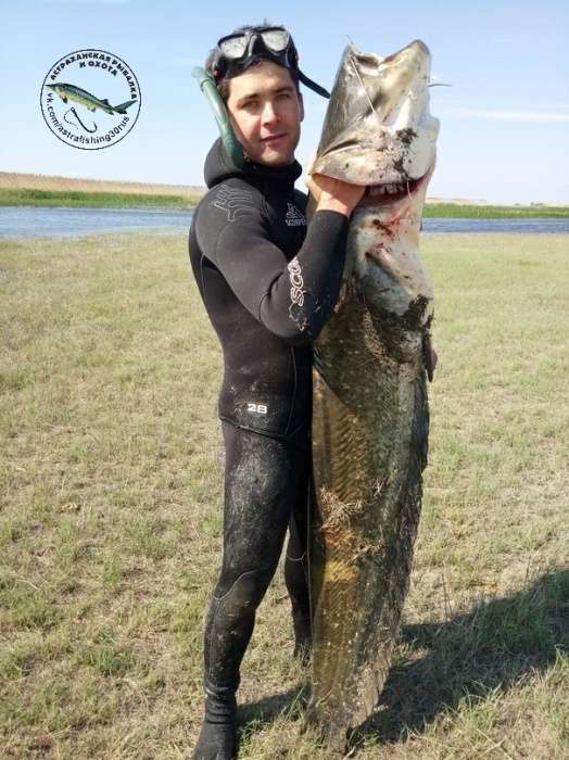 Астраханец поймал рыбу таких размеров, что не верится глазам
