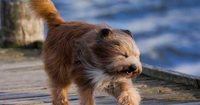 Завтра в Астрахани тепло и ветрено