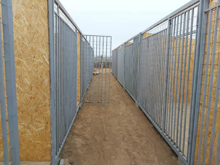 Собачий приют в Астрахани обещают построить до 15 декабря