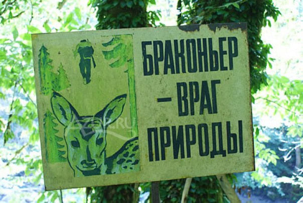 В Камызякском районе пограничники задержали браконьеров