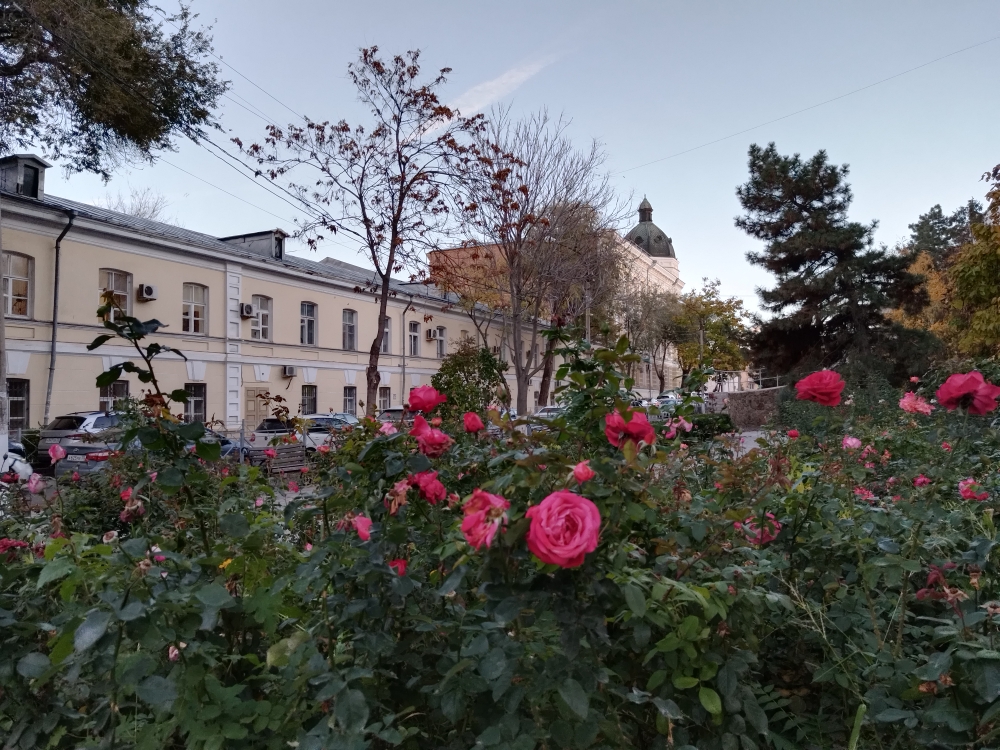 Завтра в Астрахани потеплеет