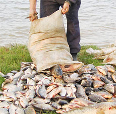 В Астраханской области браконьеры перекрыли водоем плотиной
