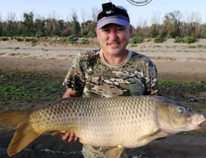 Астраханец поймал гигантского сазана